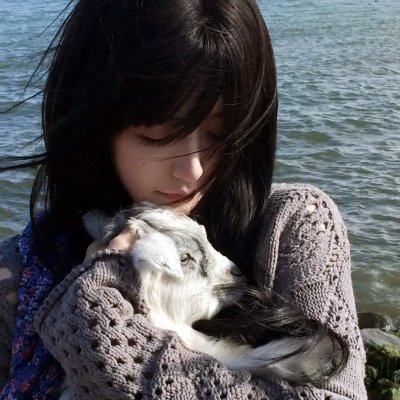 海豚奇迹